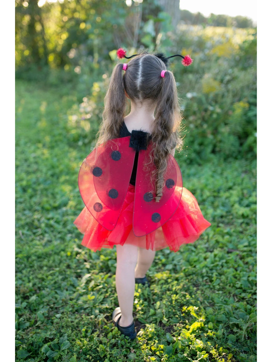 Glitter Ladybug Set