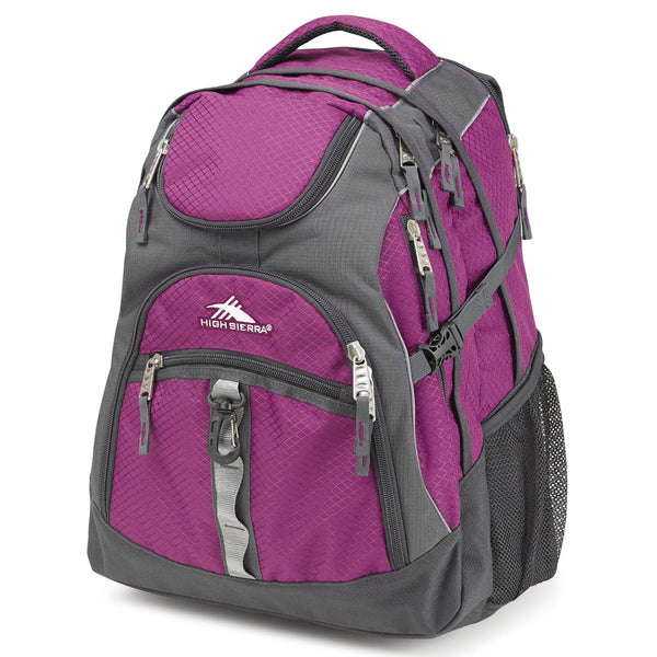 High Sierra Berry Blast/Mercury Access Backpack